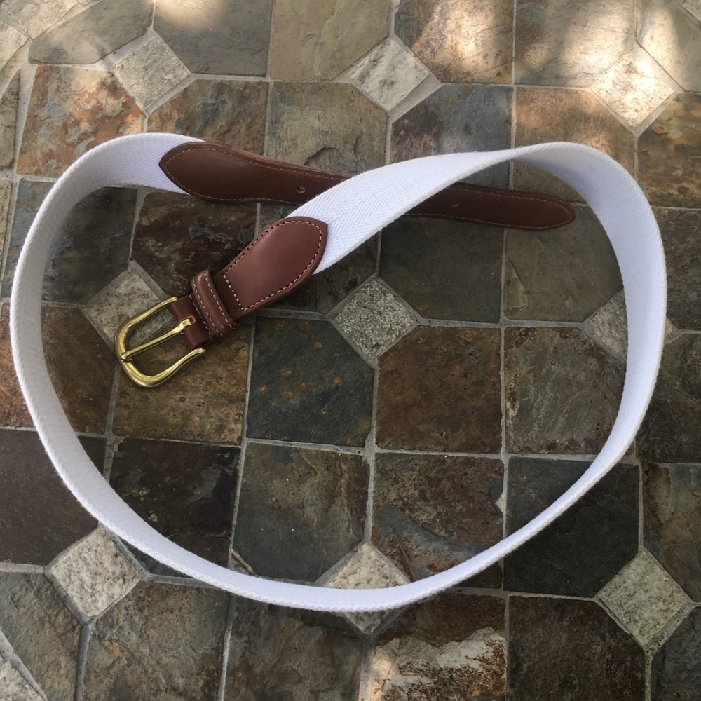 Coach belt